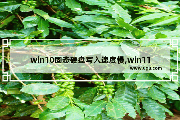 win10固态硬盘写入速度慢,win11进系统慢