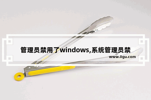 管理员禁用了windows,系统管理员禁用了windows功能怎么打开