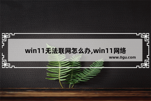 win11无法联网怎么办,win11网络连接不见了