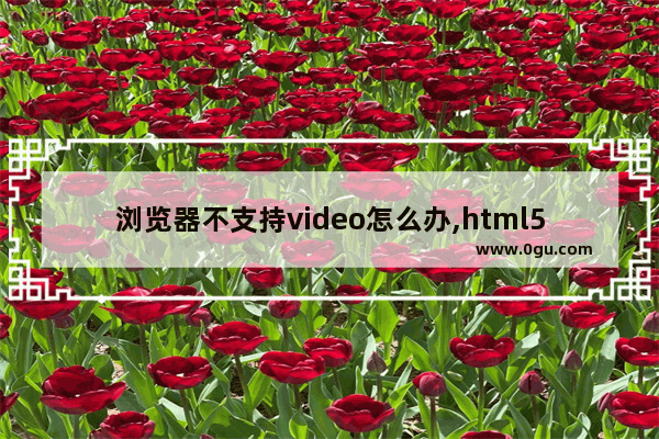 浏览器不支持video怎么办,html5 video 不能自动播放