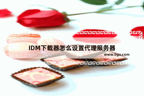 IDM下载器怎么设置代理服务器