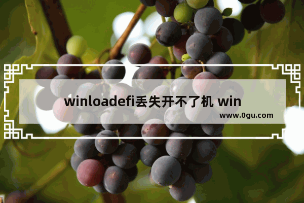 winloadefi丢失开不了机 win7,开机winloadefi丢失