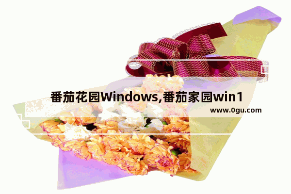 番茄花园Windows,番茄家园win10