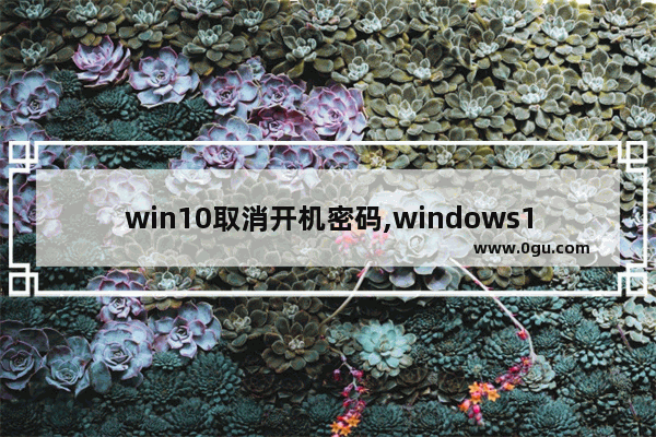 win10取消开机密码,windows11更改开机密码