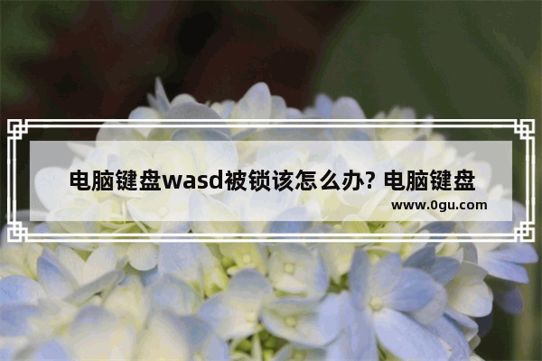 电脑键盘wasd被锁该怎么办? 电脑键盘wasd没反应的三种解决办法