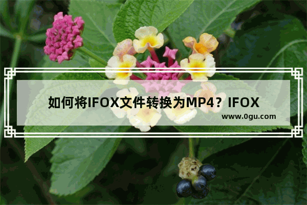 如何将IFOX文件转换为MP4？IFOX文件转换成MP4方法