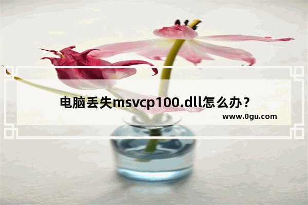 电脑丢失msvcp100.dll怎么办？解决msvcp100.dll丢失的方法