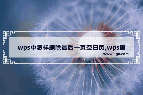 wps中怎样删除最后一页空白页,wps里如何删除最后一页空白页