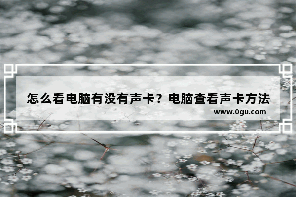 怎么看电脑有没有声卡？电脑查看声卡方法