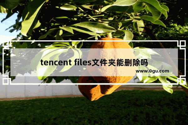 tencent files文件夹能删除吗 tencent files文件夹是否可以删除