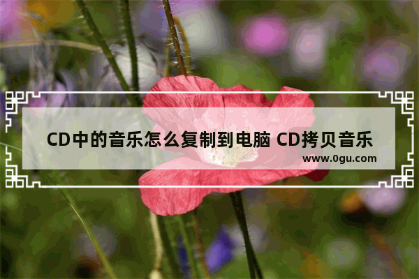 CD中的音乐怎么复制到电脑 CD拷贝音乐到电脑教程