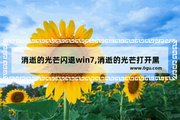 消逝的光芒闪退win7,消逝的光芒打开黑屏闪退