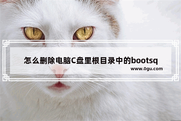 怎么删除电脑C盘里根目录中的bootsqm.dat文件?