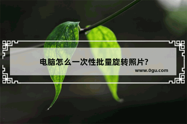 电脑怎么一次性批量旋转照片?