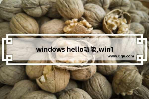 windows hello功能,win10设置windows hello