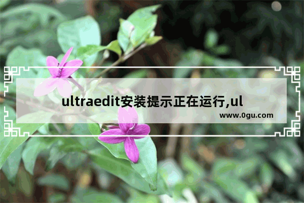 ultraedit安装提示正在运行,ultraedit运行