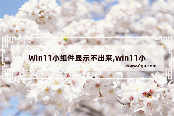 Win11小组件显示不出来,win11小组件问题