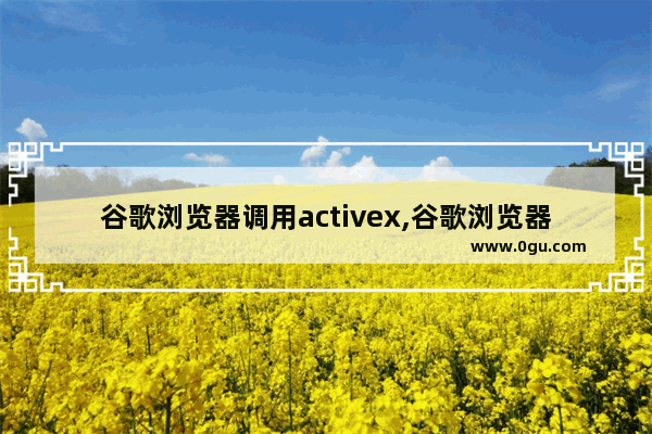 谷歌浏览器调用activex,谷歌浏览器允许activex控件