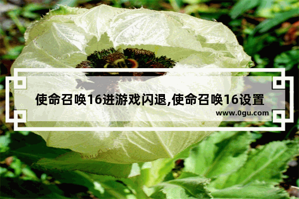 使命召唤16进游戏闪退,使命召唤16设置图形就闪退