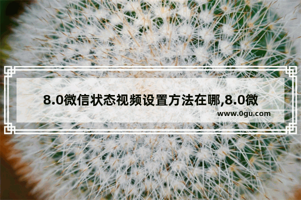 8.0微信状态视频设置方法在哪,8.0微信状态视频怎么设置