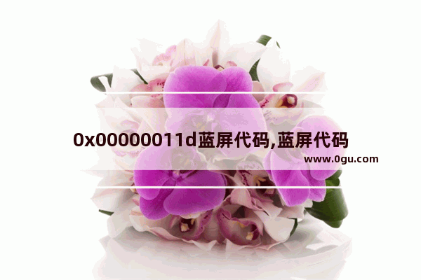 0x00000011d蓝屏代码,蓝屏代码0x000000d1怎么办