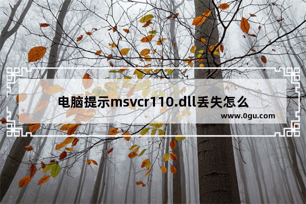 电脑提示msvcr110.dll丢失怎么办？msvcp110.dll丢失的解决方法