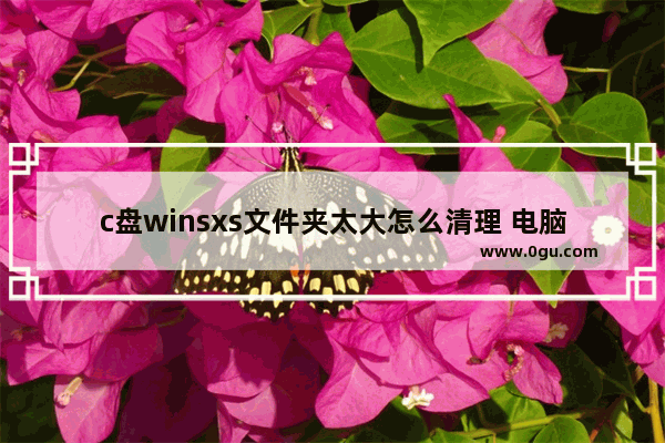 c盘winsxs文件夹太大怎么清理 电脑c盘winsxs文件夹一键瘦身方法