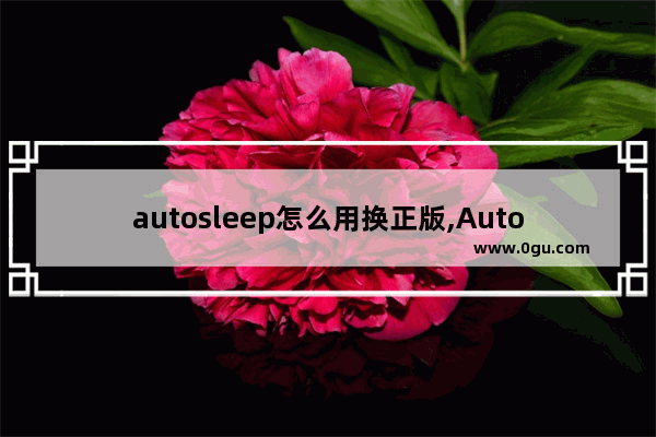 autosleep怎么用换正版,Autosleep怎么用