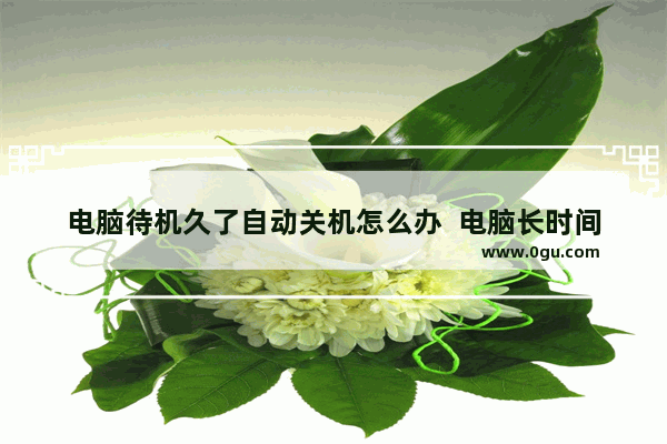 电脑待机久了自动关机怎么办  电脑长时间待机自动关机的解决办法