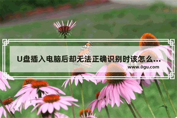 U盘插入电脑后却无法正确识别时该怎么办?