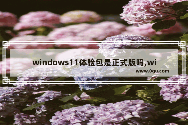 windows11体验包是正式版吗,win11体验版安装