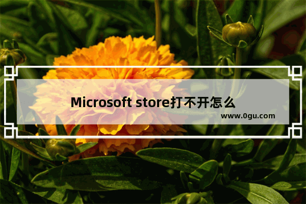 Microsoft store打不开怎么办,microsoft store无法打开怎么办