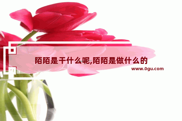 陌陌是干什么呢,陌陌是做什么的