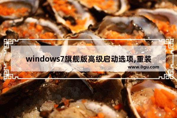 windows7旗舰版高级启动选项,重装系统启动项选择