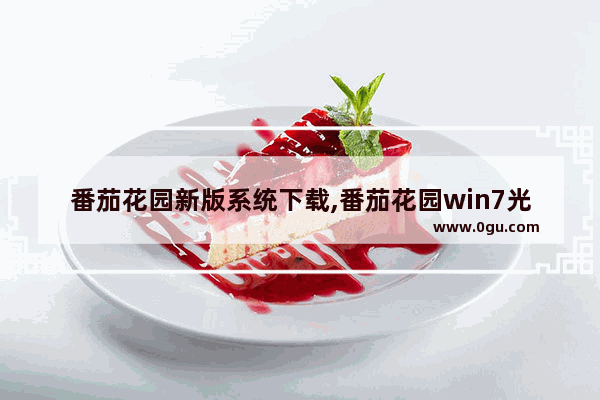 番茄花园新版系统下载,番茄花园win7光盘安装教程