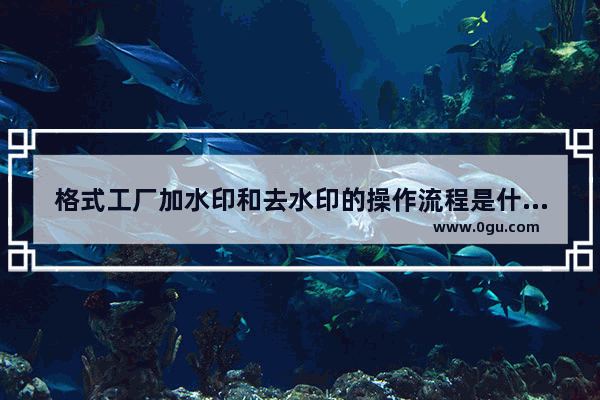 格式工厂加水印和去水印的操作流程是什么,格式工厂去水印怎么弄