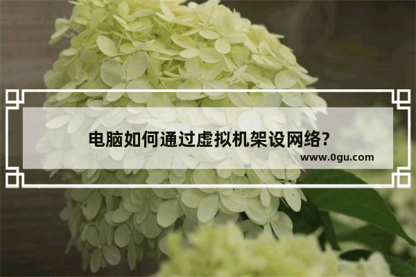 电脑如何通过虚拟机架设网络?