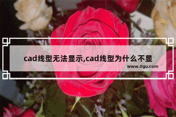 cad线型无法显示,cad线型为什么不显示