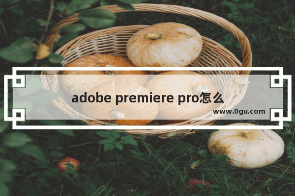 adobe premiere pro怎么去水印,pr中如何去水印