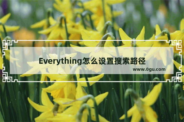 Everything怎么设置搜索路径