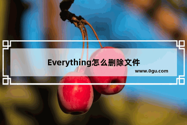 Everything怎么删除文件