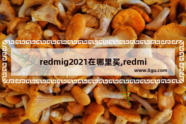 redmig2021在哪里买,redmig2021京东