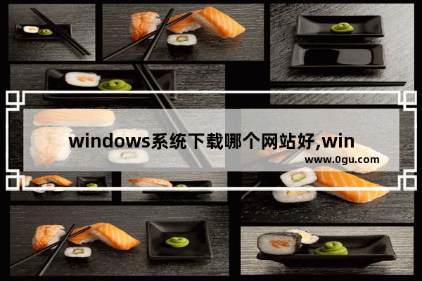 windows系统下载哪个网站好,win10系统在哪里下载软件比较好