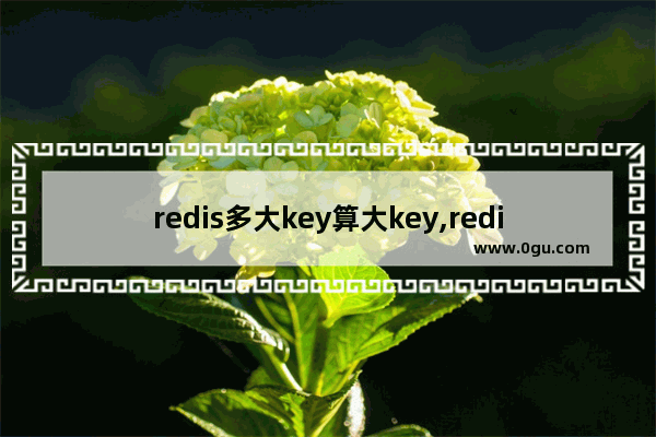 redis多大key算大key,redis 多少key