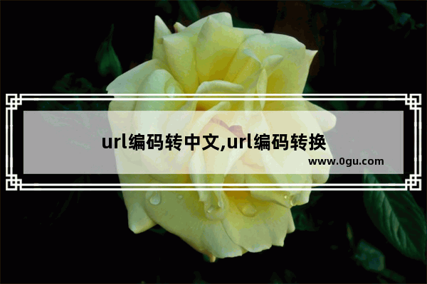 url编码转中文,url编码转换