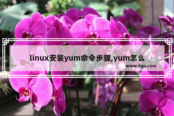 linux安装yum命令步骤,yum怎么重启