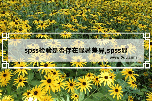 spss检验是否存在显著差异,spss显著性检验结果怎么看