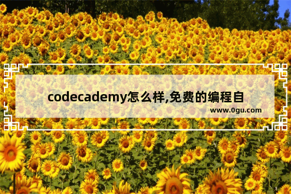 codecademy怎么样,免费的编程自学网站Codecademy