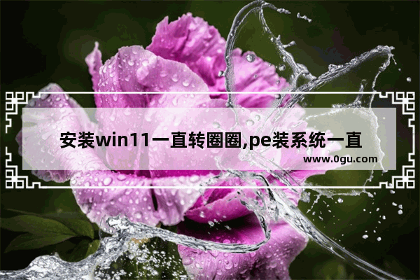 安装win11一直转圈圈,pe装系统一直转圈