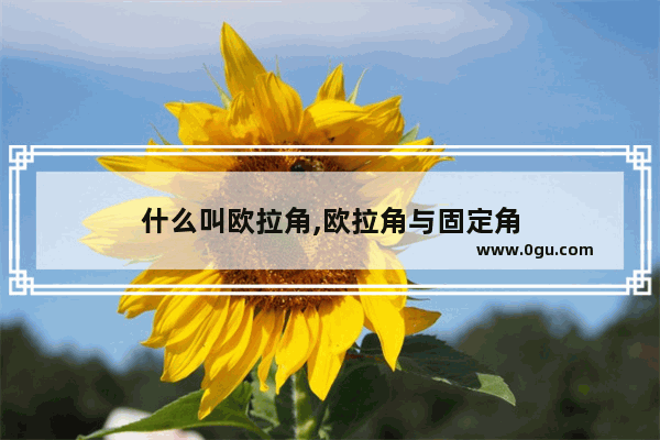 什么叫欧拉角,欧拉角与固定角